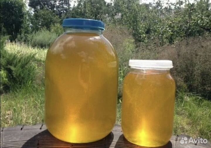 Липовый мед