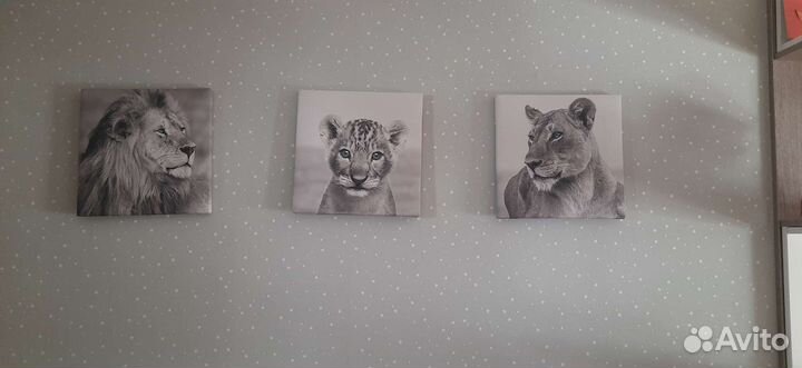 Постеры львы