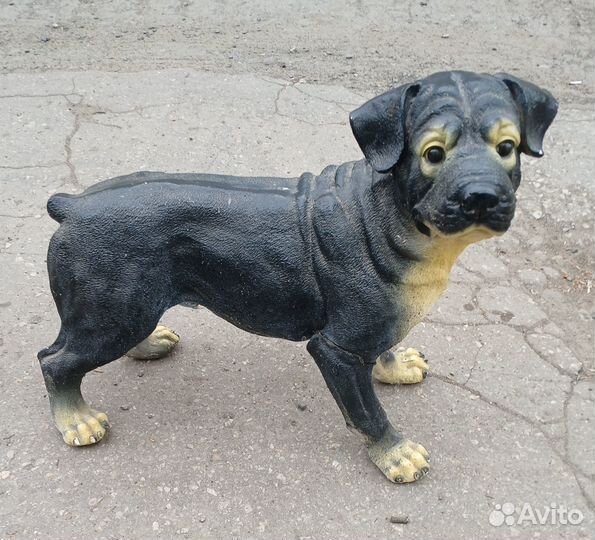 Декоративные собаки