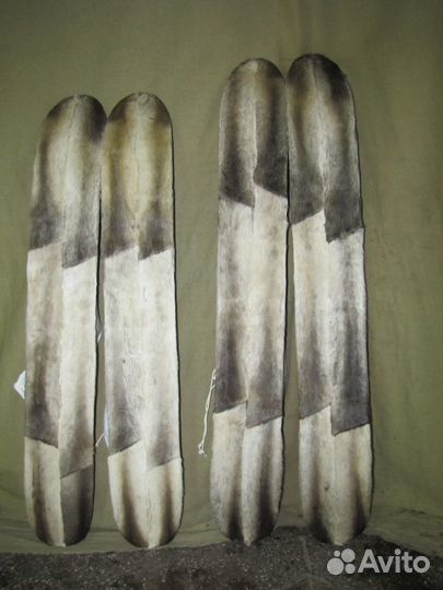 Лыжи охотничьи