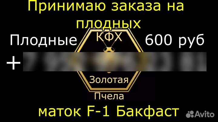 Пчеломатки плодные