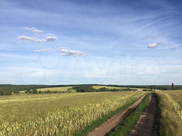 Участок 5,8 га (СНТ, ДНП)