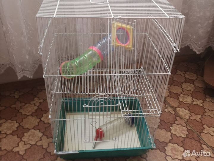 Клетка большая и очень большая