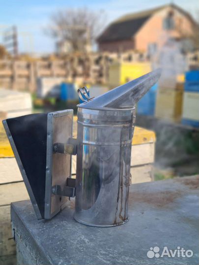 Продам пчел