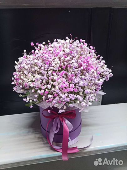 Гипсофила с доставкой