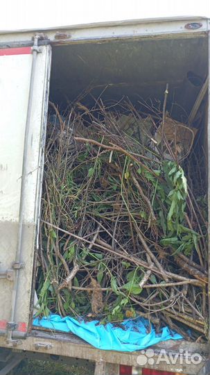 Демонтаж и вывоз мусора с дачи из хлам