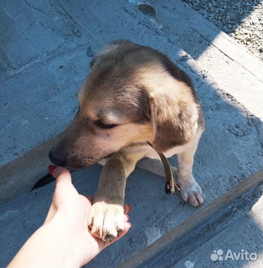 В добрые и ответственные ручки