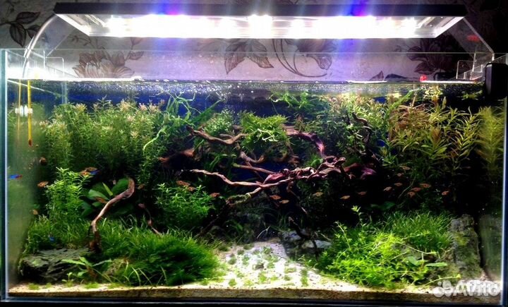 Светильники светодиодные