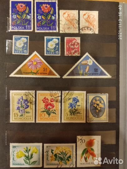 Марки по теме Флора