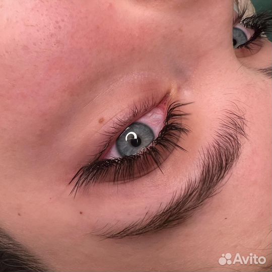 Наращивание ресниц брови Пушкино