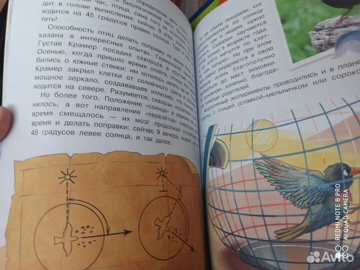 Познавательные книги для детей