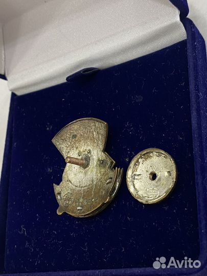 Ранний сборный знак ударник здравоохранения 6313