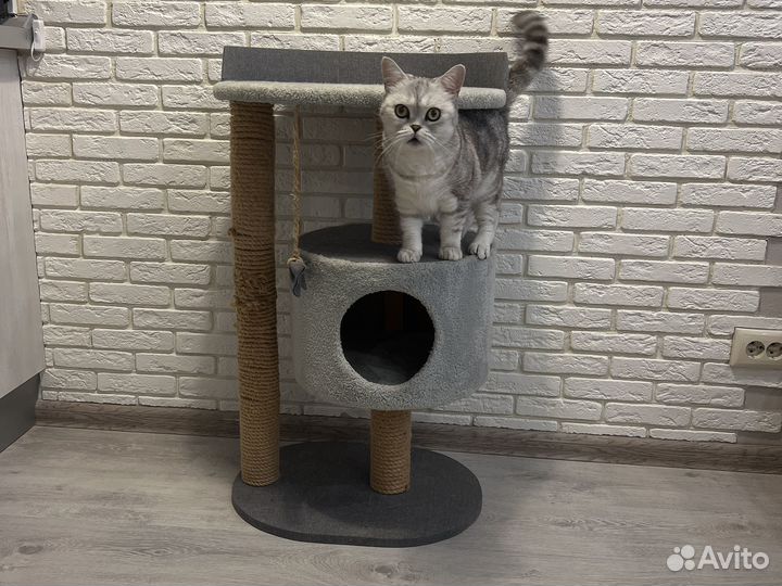 Продаю домик для кошек с когтеточкой