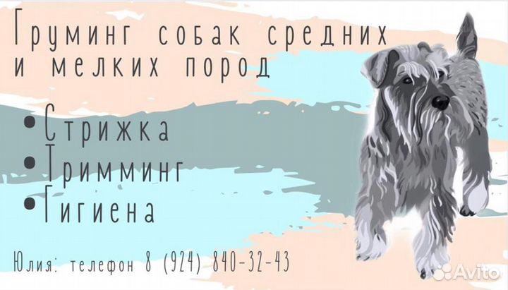 Стрижка собак, груминг в Тынде