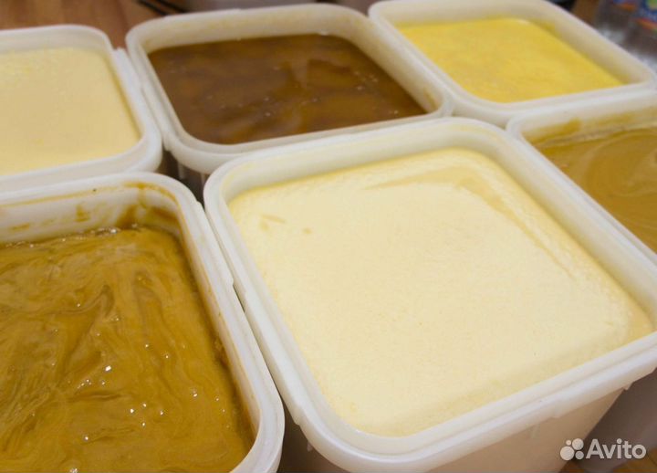 2024 Мед натуральный из Алтая опт