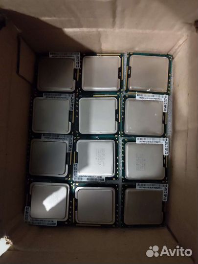 CPU 1366 сокет, 4С/6С, E, X. Количество, опт