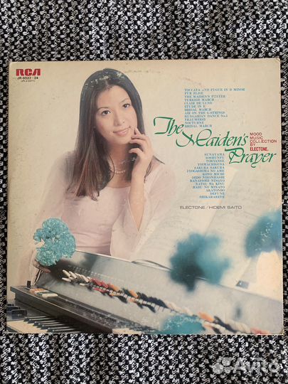 Виниловая пластинка Hidemi Saito