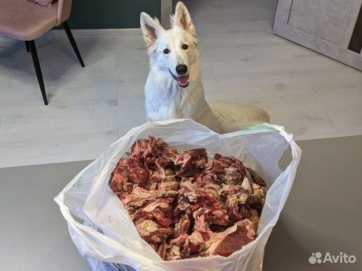 Говяжья обрезь для собак