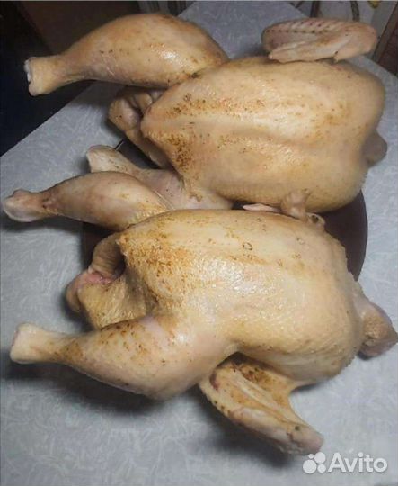Мясо бройлера
