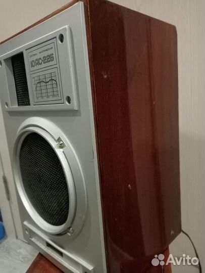 Колонки 10 ас 225