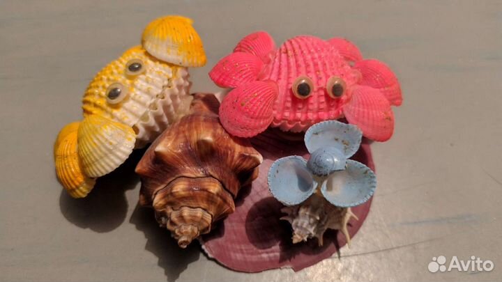 Ракушки настоящие с Тайланда