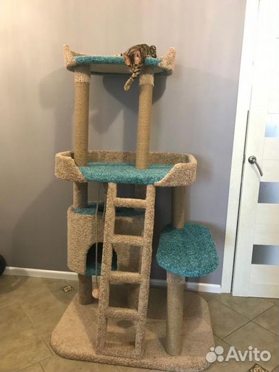 Игровой комплекс-когтеточка «Палата Лордов»