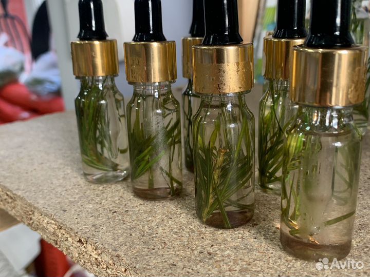 Веники Пихтовые для бани