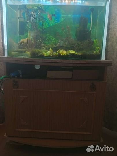 Аквариум с тумбой бу