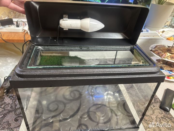 Аквариум для красноухой черепахи