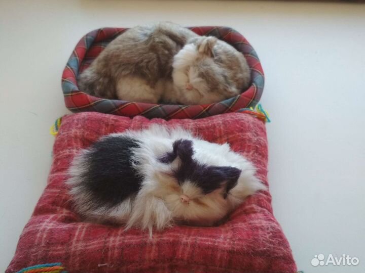 Котики /собачки для коллекции штучно