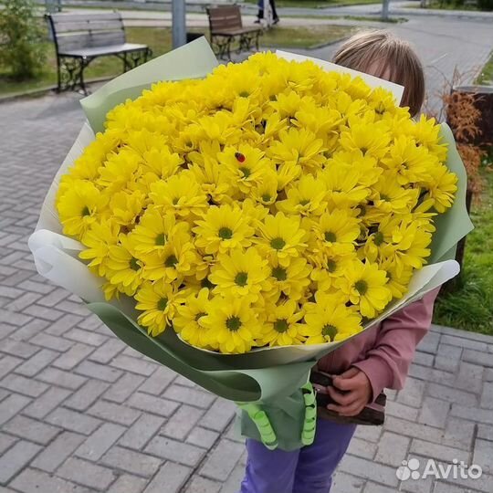 Хризантемы, Букет Цветов Хризантем с Доставкой