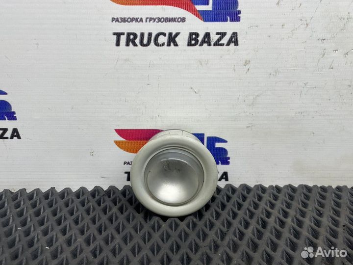 504195228 Плафон салонный Iveco Stralis