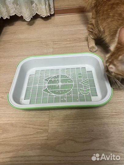 Лоток для кошек