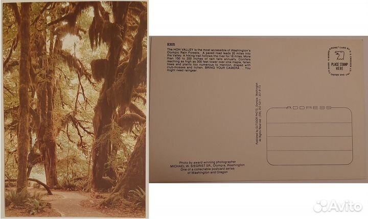 Почтовые открытки. Часть 13 