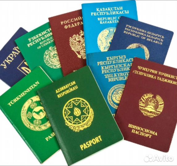 Перевод документов; Переводчик