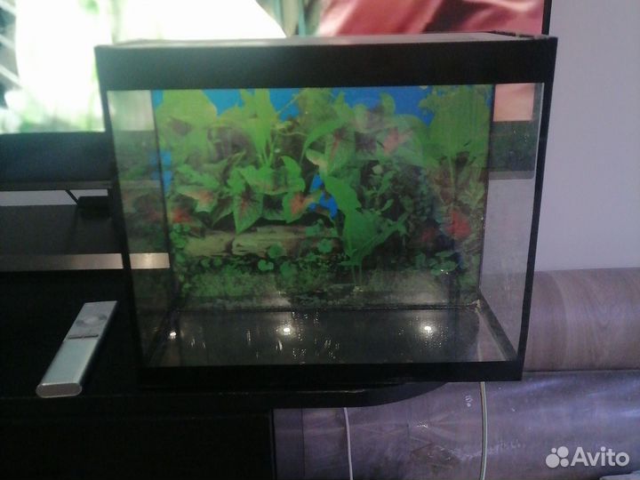 Аквариум