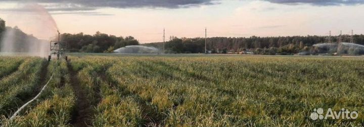 Готовый бизнес с пассивным доходом