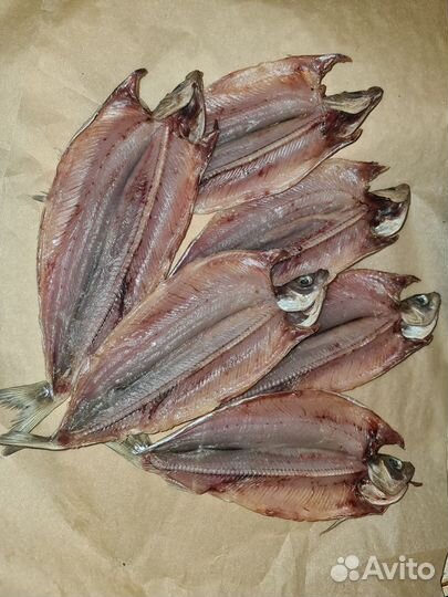 Байкальская рыба