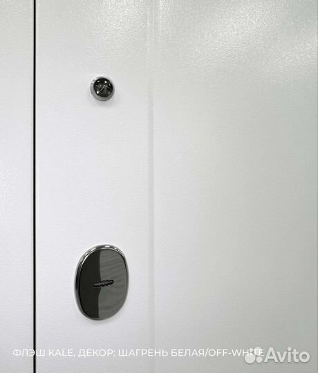 Дверь входная с зеркалом