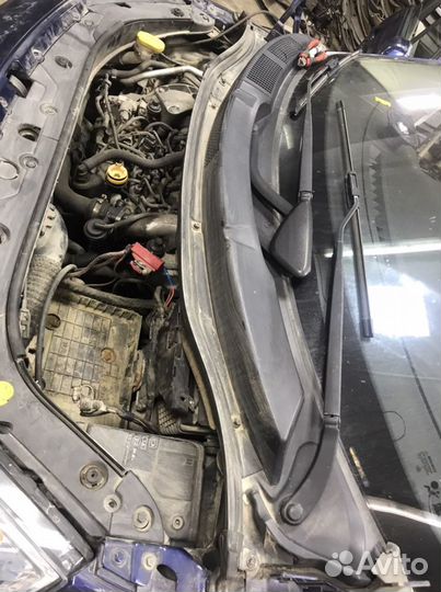 Renault scenic 2 жабо