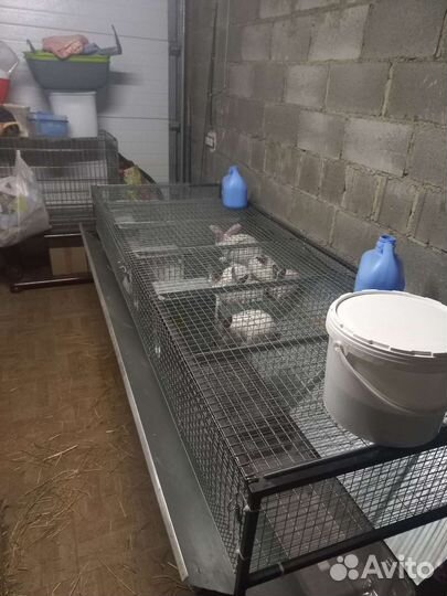 Клетки для кроликов.Откорм