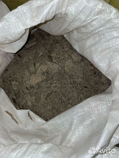 Зерно,корма для с/х животных