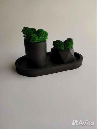 Кашпо с стабилизированным мхом и подносом