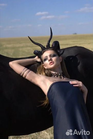 Конные прогулки