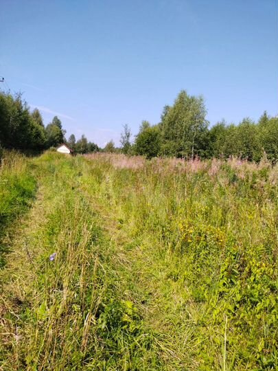 Участок 26 сот. (ИЖС)