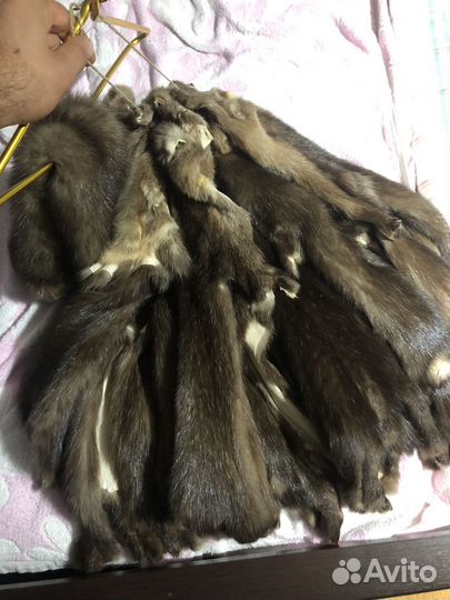 Шкурка животного