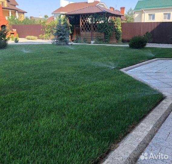 Газон, укладка рулонного газоны