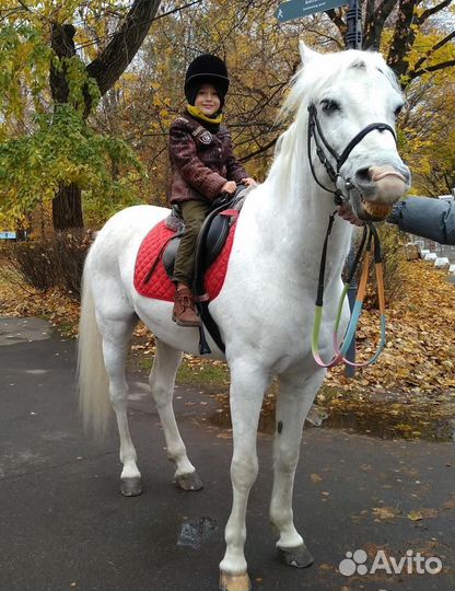 Куртка утеплённая Нахаленок