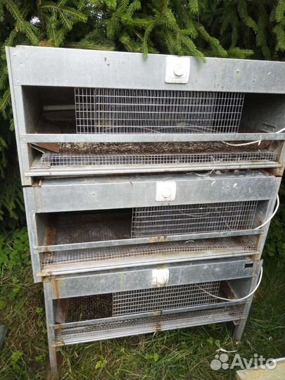 Клетки для кур несушек и бройлеров, брудеры