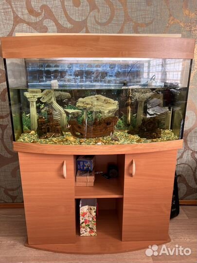 Аквариум 250л